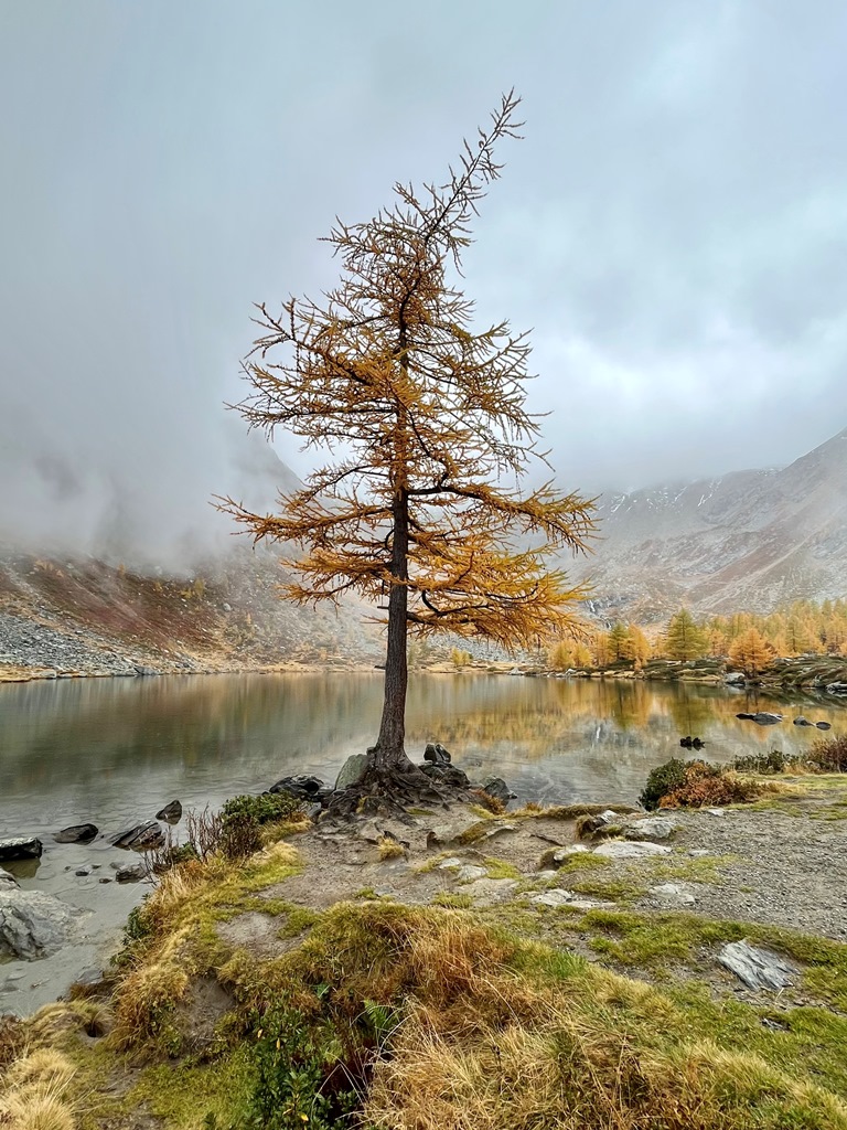 Lago d'Arpy autunno_morgex_valle d'aosta