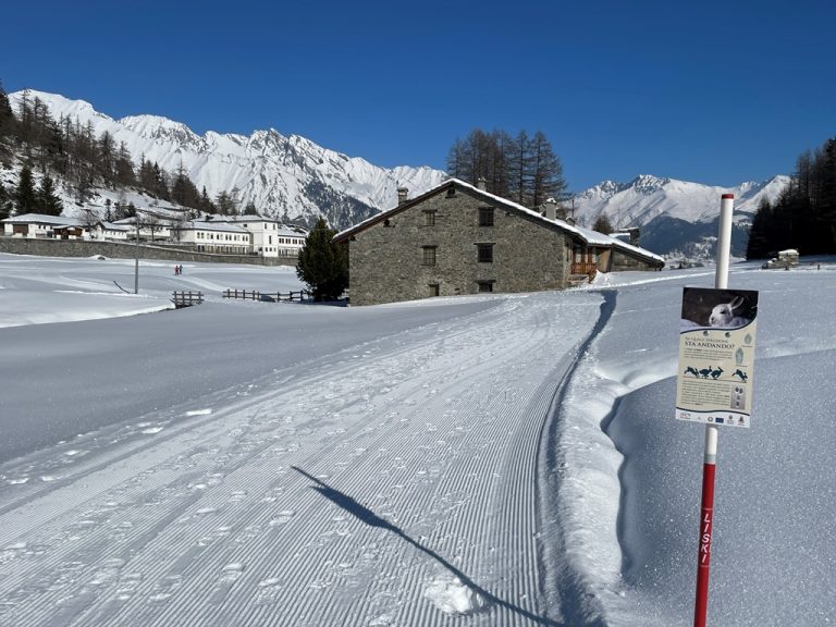 Sport invernali_Valle d'Aosta_Morgex