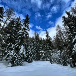 Le nostre Montagne hanno ancora bisogno di neve e di inverno, così anche come tutti gli abitanti, umani e non, di questi luoghi sempre più preziosi.

Speriamo di ammirare al più presto dei paesaggi così 🩵
Inverno, ci manchi ❄️

#morgex #arpy #discovermorgex #valledaosta #invernodovesei #letitsnow #neve #waitingforyou #nofilterneeded